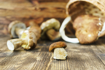 Placer white mushrooms in a wicker basket.