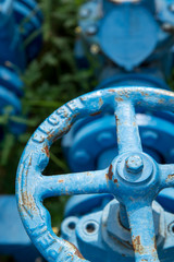 Blue pipe valve in the grass