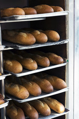 Fresh baguettes in tray stacked on shelf