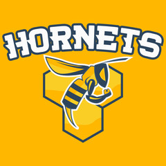 Bee Hornet Vector Illustration. Hornet sports team mascot with the text Hornets