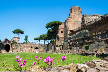 the ruins of the Stadium on the Palatine Hill in Rome, Italy