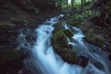 Obraz premium fast flowing rivers in the forests of Montenegro