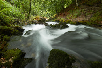 fast flowing rivers in the forests of Montenegro