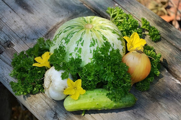 useful vegetables dl your design 3