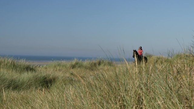 cavali&egrave;re sur la c&ocirc;te