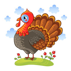 Cute cartoon character turkey. Turkey isolated on a white background, vector illustration. Farm animal.