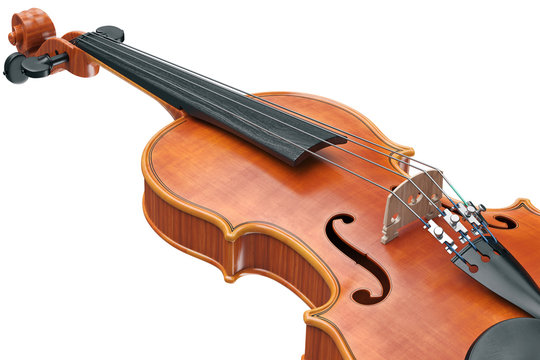 Viola classical stringed musical equipment, close view. 3D graphic