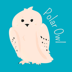 Polar owl isolated.
