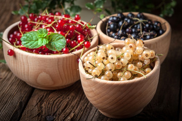 Redcurrant, blackcurrant, white currant fruit.