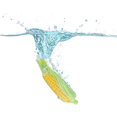 Fresh corn falling in water on white background