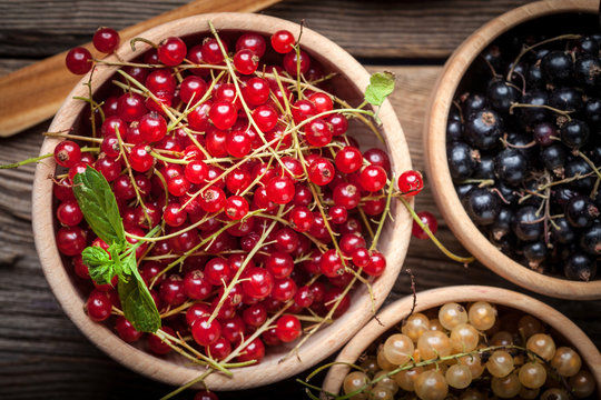 Redcurrant, Blackcurrant, White Currant Fruit.