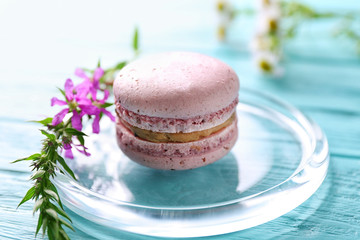 Tasty macaroon and flower on glass plate, close up
