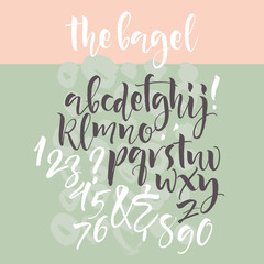 Vector alphabet. Hand drawn letters. Letters of the alphabet written with a brush.