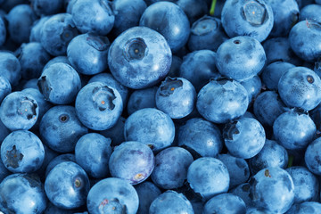 Blueberry antioxidant organic superfood in a bowl on table, concept for healthy eating and nutrition
