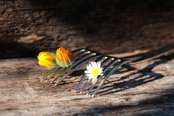 ...ich esse Blumen