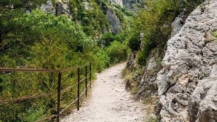 Beautiful trail, path, way, mountain road