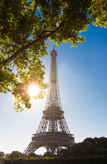 Fototapeta na wymiar The Eiffel tower in the morning .