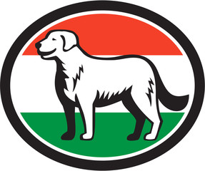 Kuvasz Dog Hungarian Flag Oval Retro