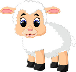 Cute sheep cartoon