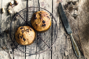 Christmas chocolate cake panettone