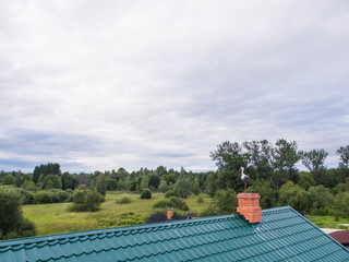 The wild stork at the county house roof