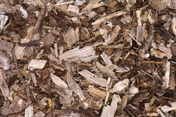 Wood chip background. Garden mulch made up of mulched wood and bark used to suppress weed growth