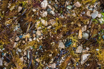sea and ocean beach with sand