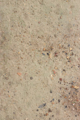 Wet Mud Dirt Land