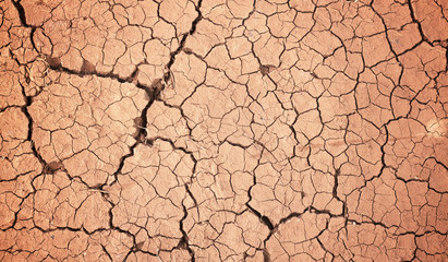 Drought  the ground cracks