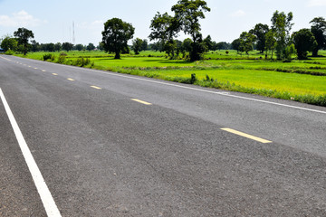 Natural landscape view of country road nearby paddy field