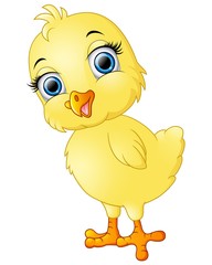 Happy chicks cartoon