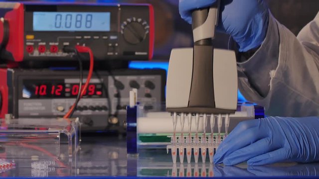 Sample preparation for DNA electrophoresis. Adding samples in Gel Electrophoresis