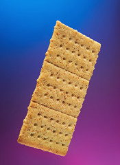 isolated cracker cookie