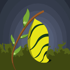 The Yellow Cocoon