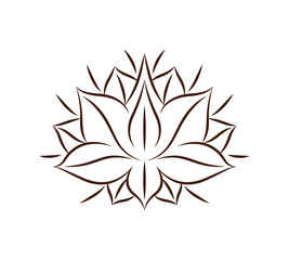 lotus flower drawing isolated icon design, vector illustration  graphic 