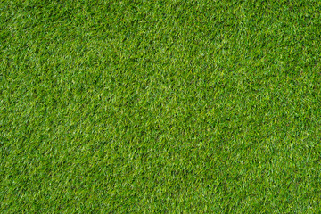 Green grass texture abstract background