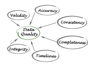 Diagram of Data Quality - obrazy, fototapety, plakaty