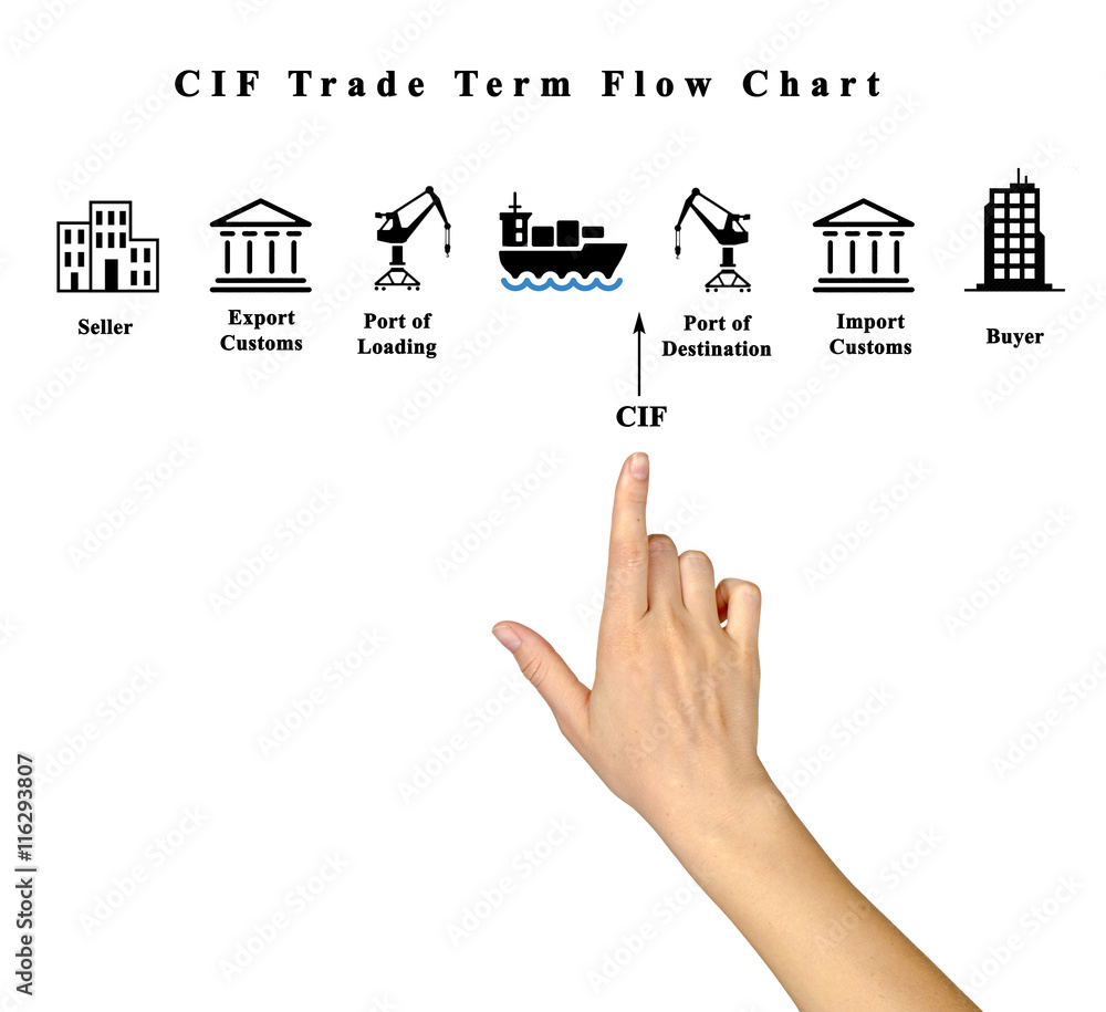 Poster cif trade term flow chart.