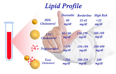 Lipid profile