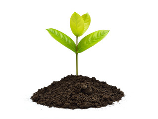Green sprout growing out from soil isolated on white background