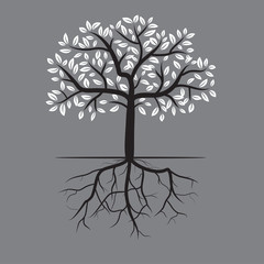 Black trunk and white leaves with roots