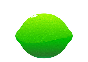bright juicy tasty green lime cartoon