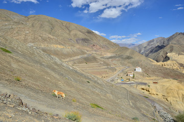 Landscape of mountain