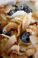 Macro Toasted Coconut Flakes with Blueberries