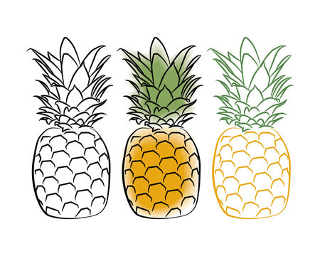 Three pineapple on a white background