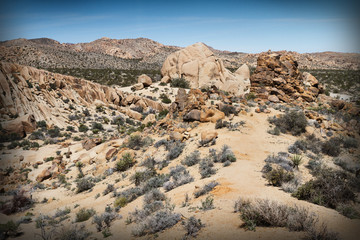 Fototapeta na wymiar Mojave Desert at Joshua Tree National Park, California
