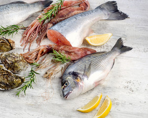 Fresh raw seafood. Healthy diet eating.
