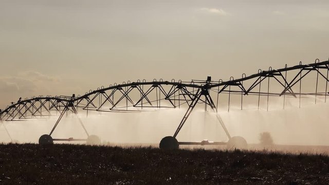 Automated agricultural center pivot irrigation system with drop sprinklers in harvested wheat stubble field