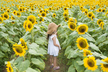 ヒマワリ畑で遊ぶ女の子