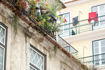 Fototapeta na wymiar Flowers on the balcony of an old building in Europe